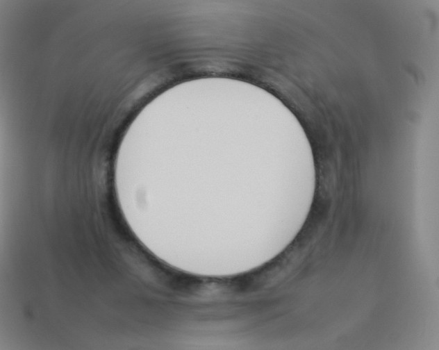 X0000113890111200910221425