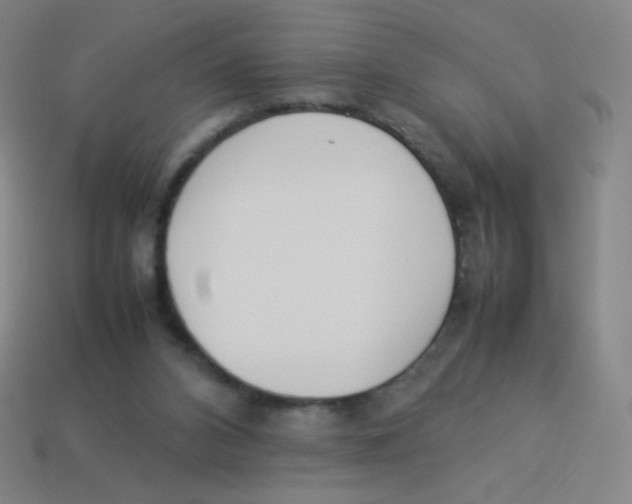 X0000113890112200910221425