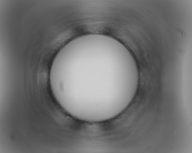 X0000113890113200910221425