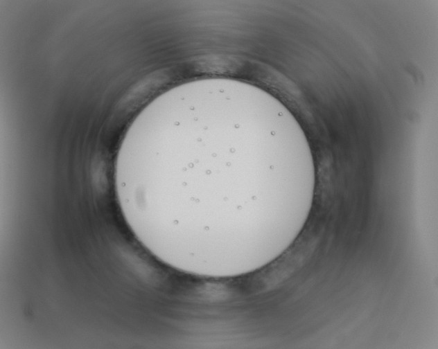 X0000113890114200910221425