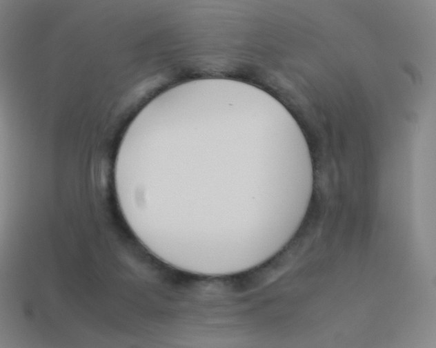 X0000113890115200910221425