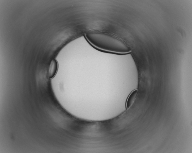 X0000113890116200910221425
