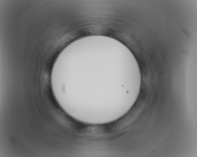 X0000113890117200910221425