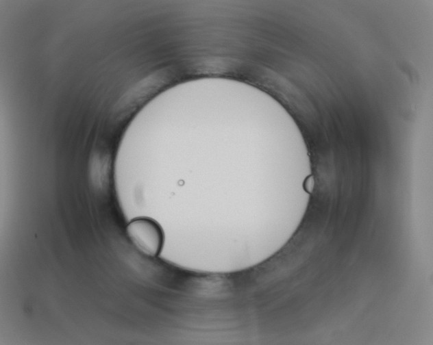 X0000113890118200910221425