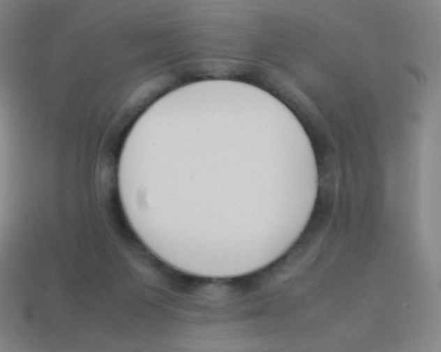 X0000113890119200910221425