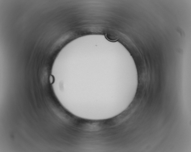 X0000113890120200910221425