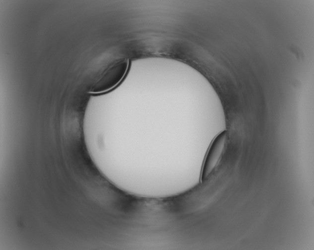 X0000113890121200910221425