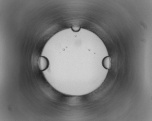 X0000113890122200910221425