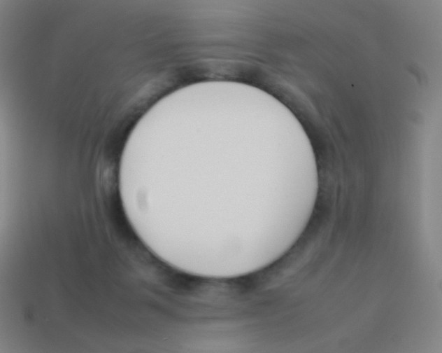 X0000113890123200910221425