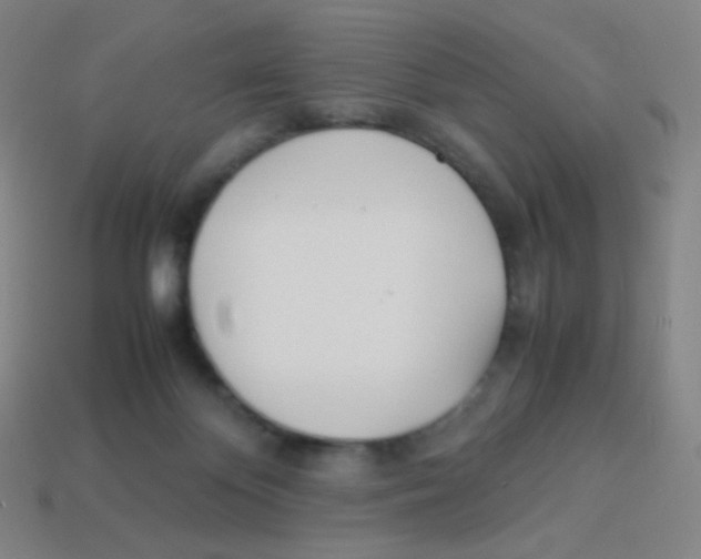 X0000113890124200910221425