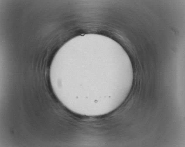 X0000113890125200910221425