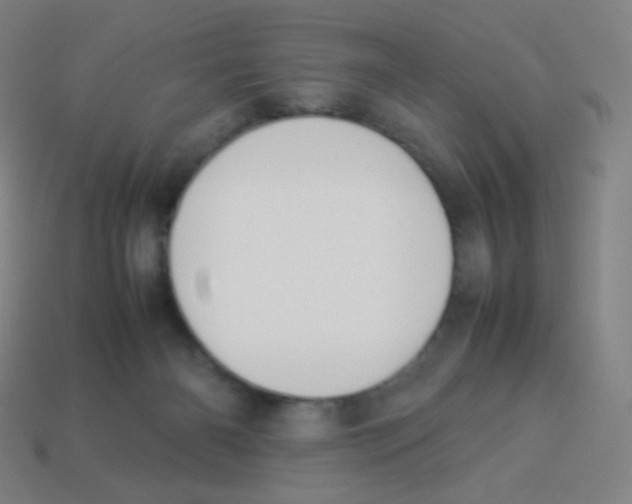 X0000113890126200910221425