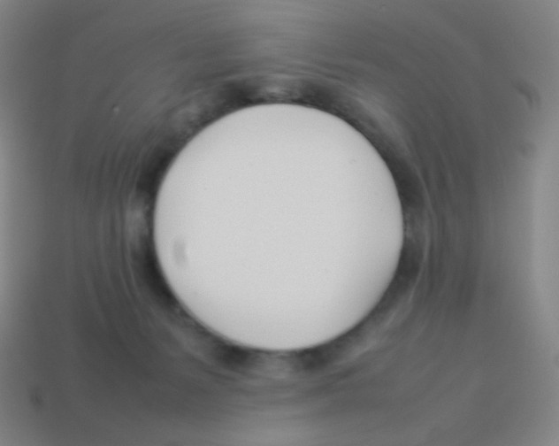 X0000113890127200910221425