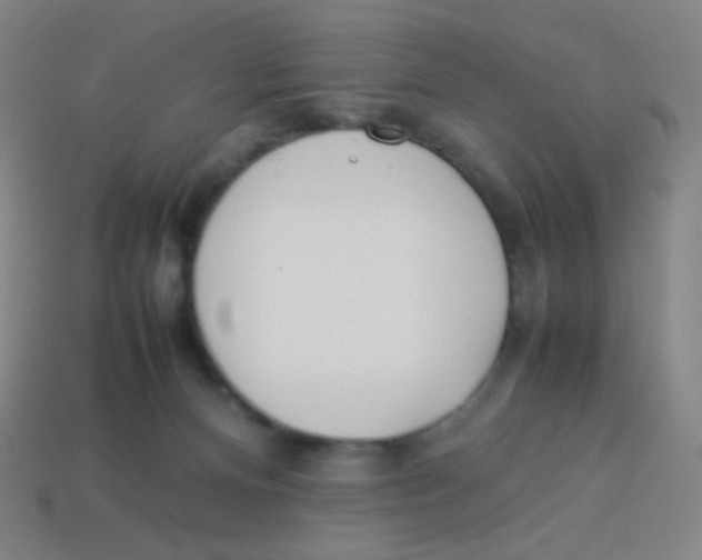 X0000113890128200910221425