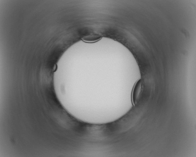 X0000113890129200910221425