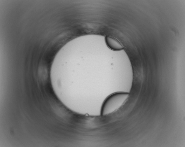 X0000113890130200910221425