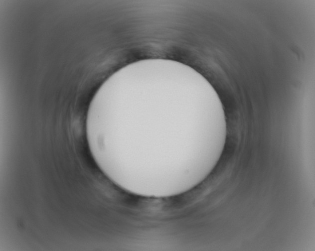 X0000113890131200910221425