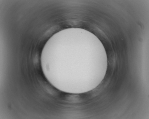 X0000113890132200910221425