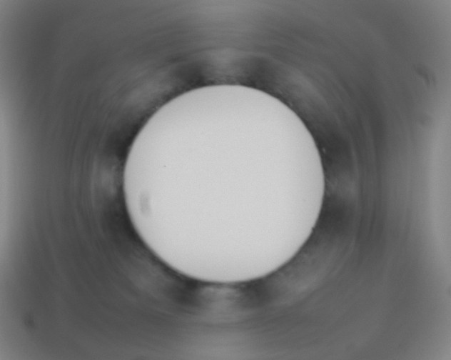 X0000113890133200910221425