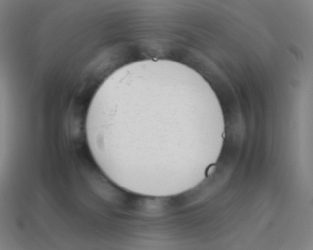 X0000113890134200910221425