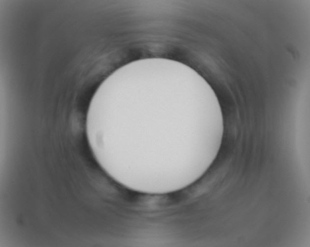 X0000113890135200910221425