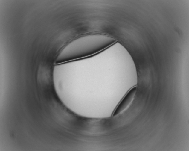 X0000113890136200910221425