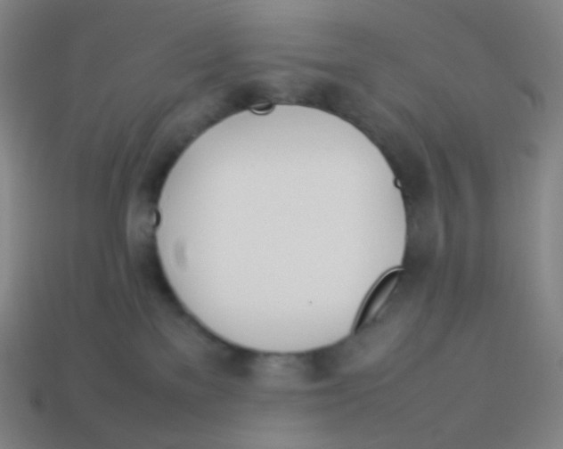 X0000113890137200910221425