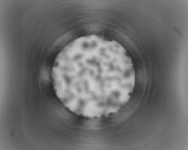 X0000113890138200910221425