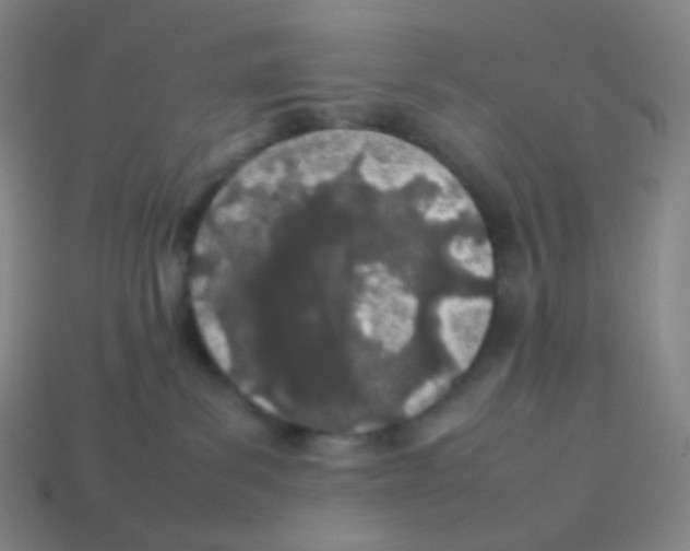 X0000113890139200910221425