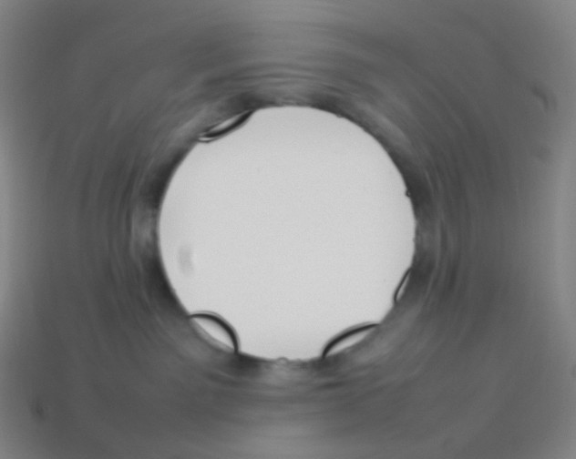 X0000113890141200910221425