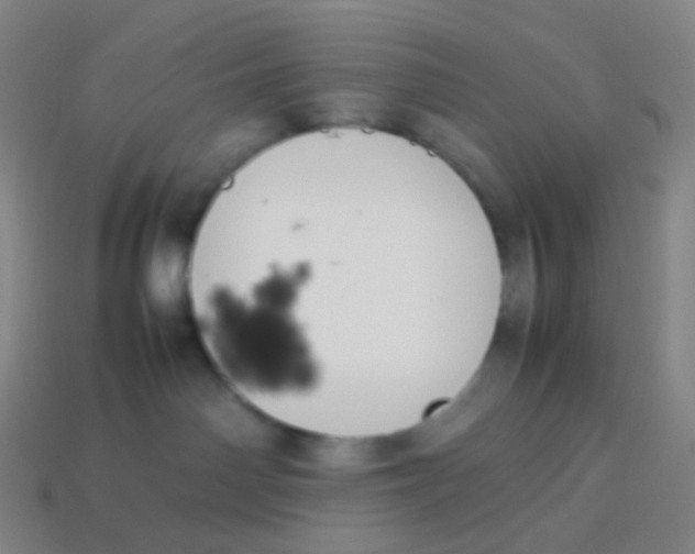 X0000113890142200910221425