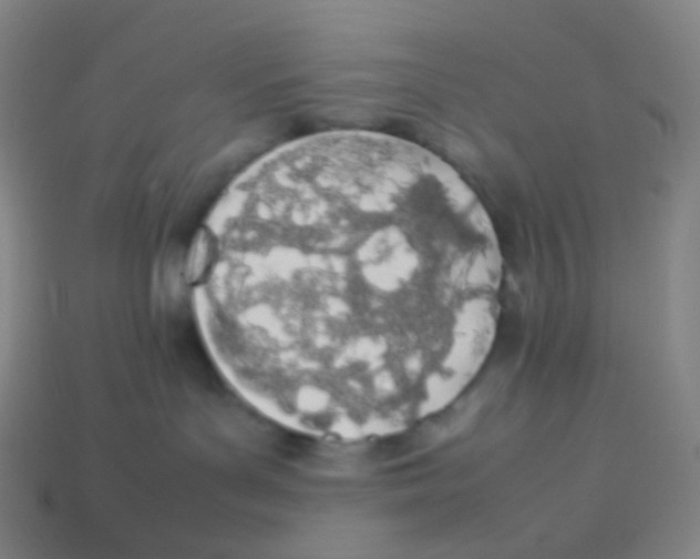 X0000113890143200910221425