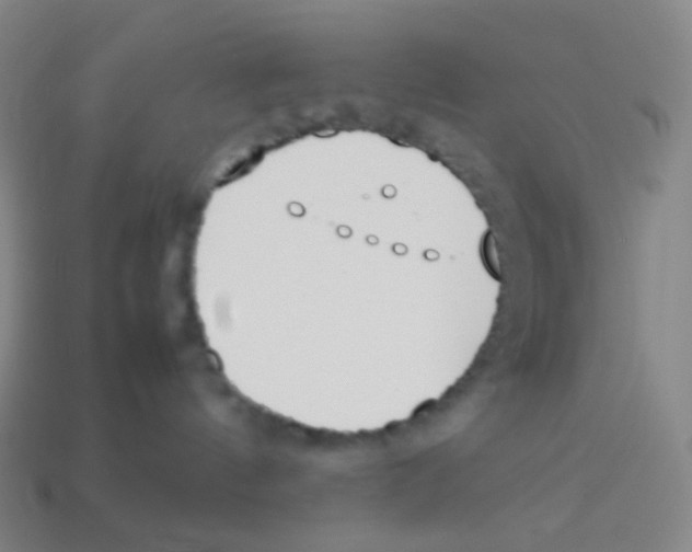 X0000113890144200910221425