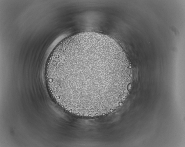 X0000113890147200910221424