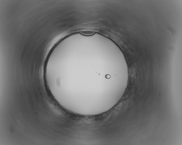 X0000113890148200910221424