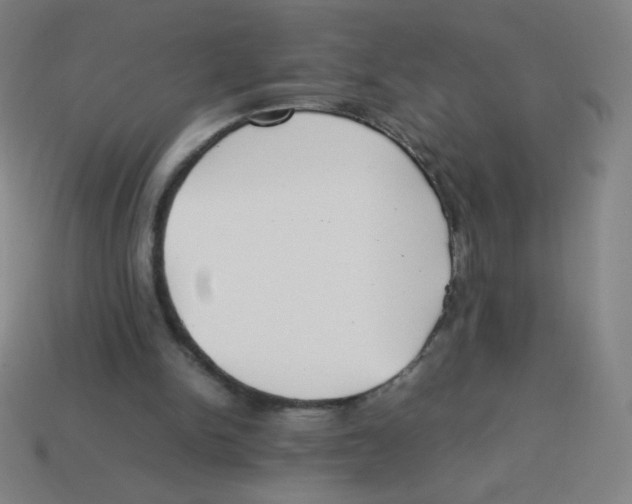 X0000113890150200910221424
