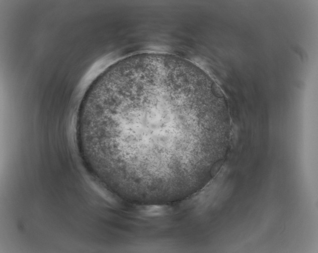 X0000113890151200910221424