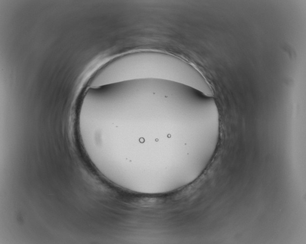 X0000113890152200910221424