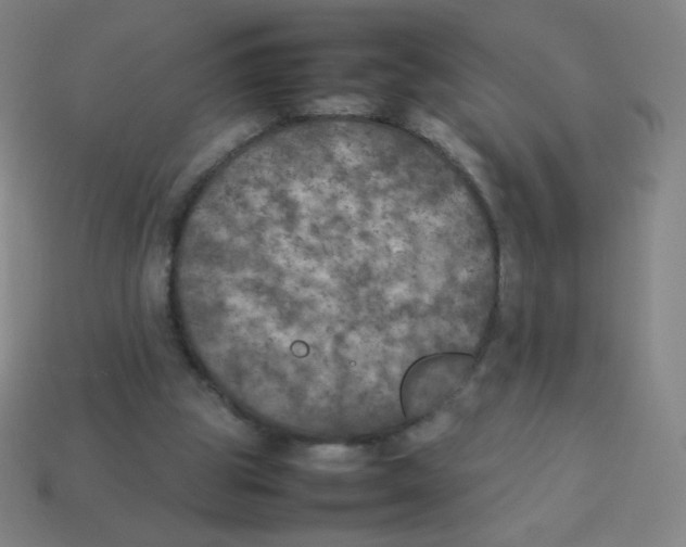 X0000113890153200910221424