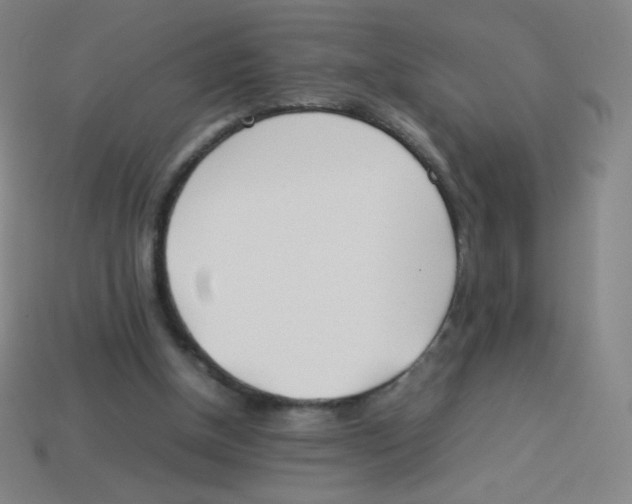 X0000113890154200910221424