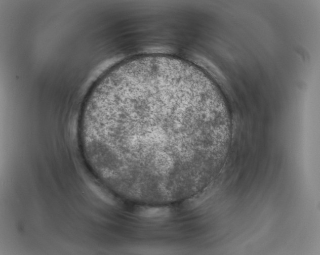 X0000113890155200910221424