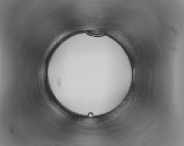 X0000113890156200910221424