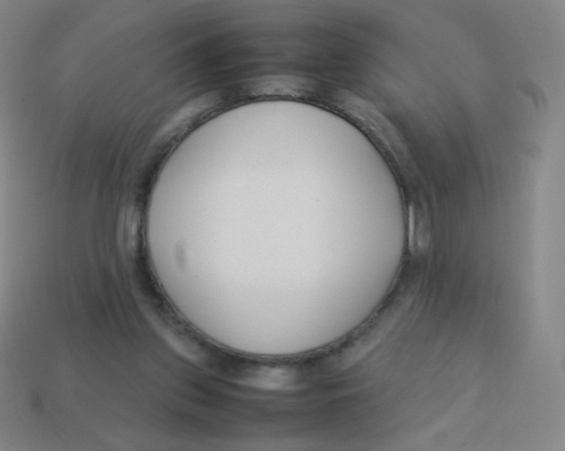 X0000113890157200910221424