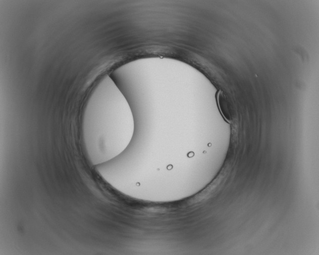 X0000113890158200910221424