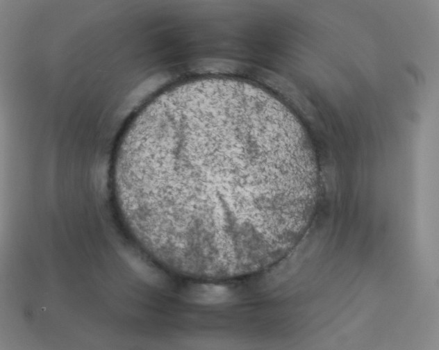 X0000113890159200910221424