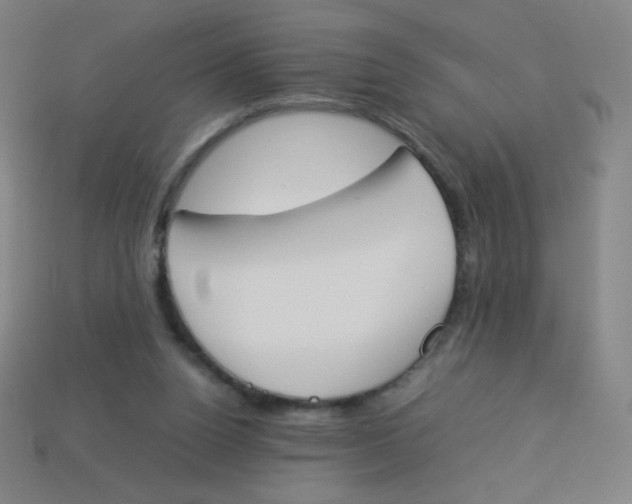 X0000113890160200910221424