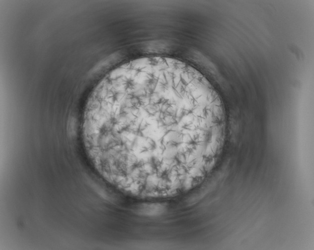 X0000113890161200910221424