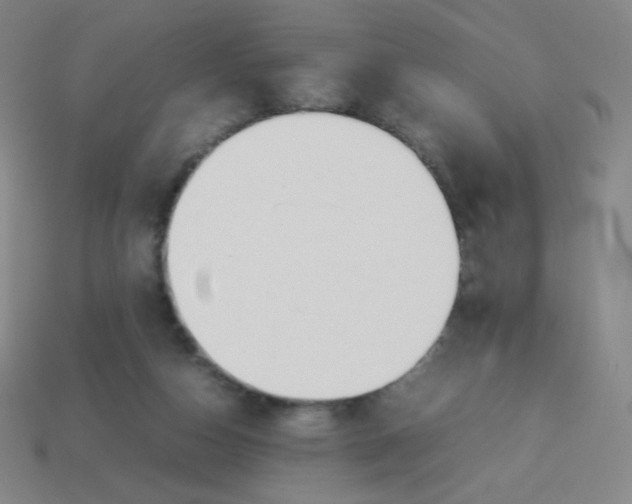 X0000113890162200910221424