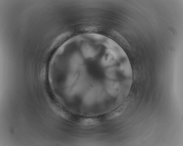 X0000113890163200910221424