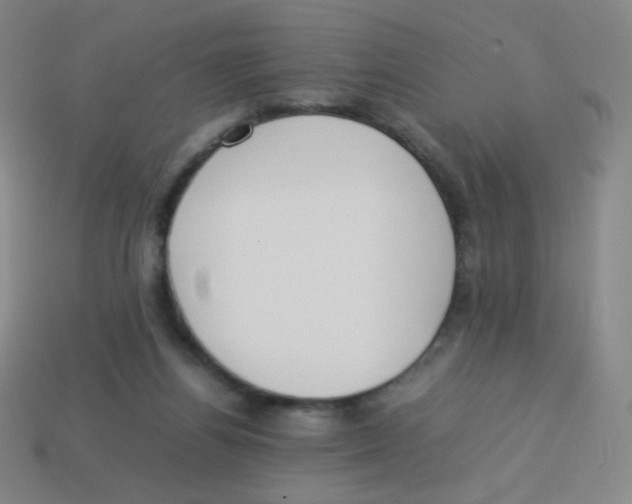 X0000113890164200910221424